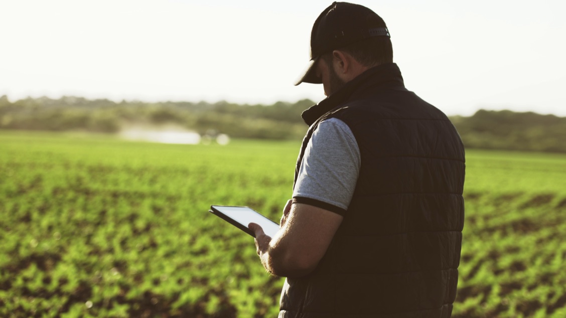 Productor agropecuario en campo