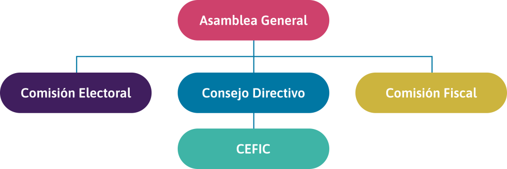Organización de una cooperativa